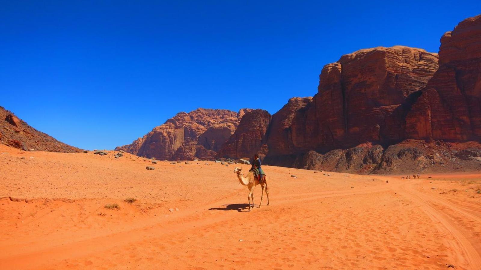 Wadi Rum Magic Nature Camp Zewnętrze zdjęcie